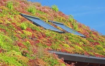 Ludford living roof systems